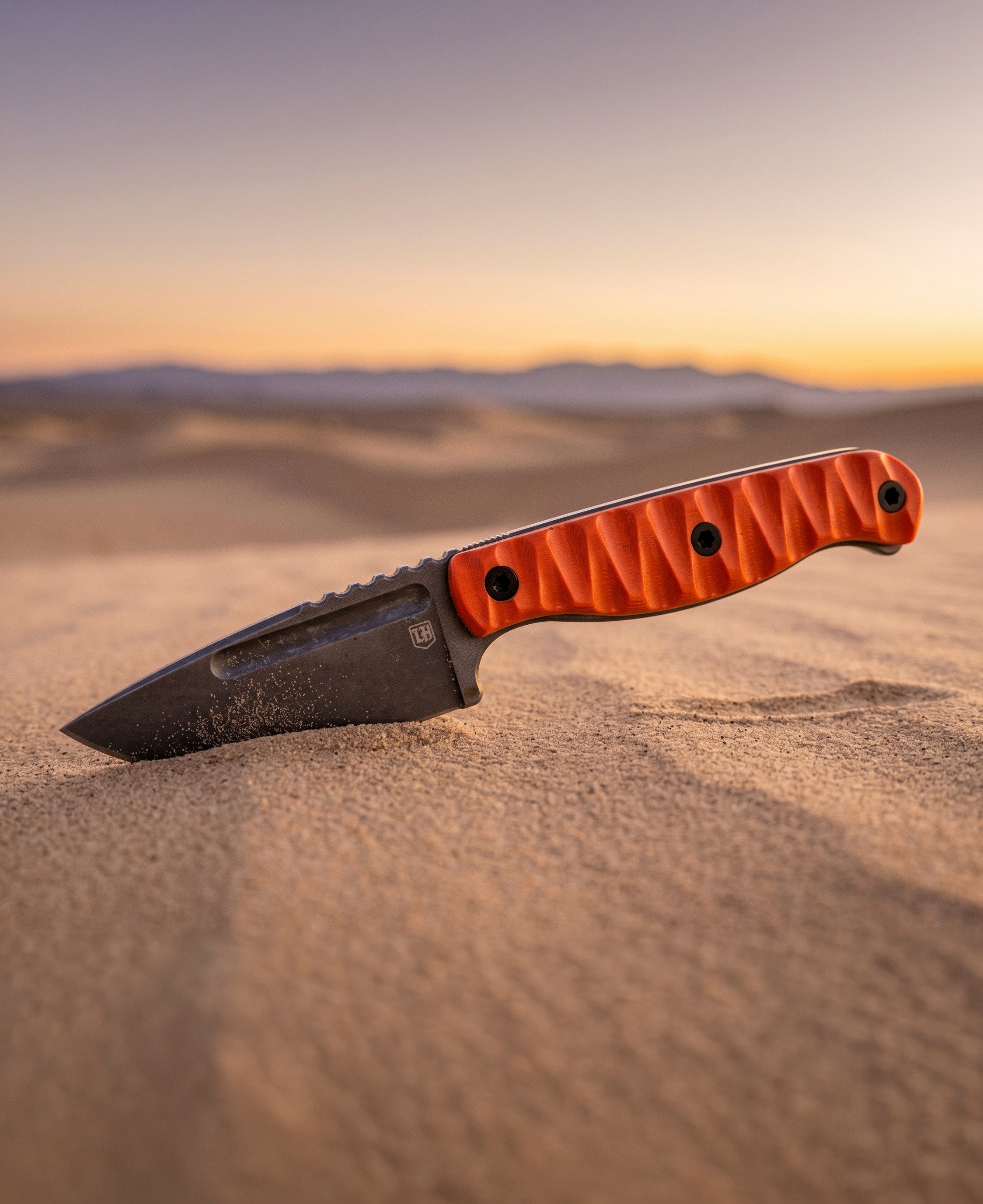 Blue Ridge Scout resting on desert sand at sunset